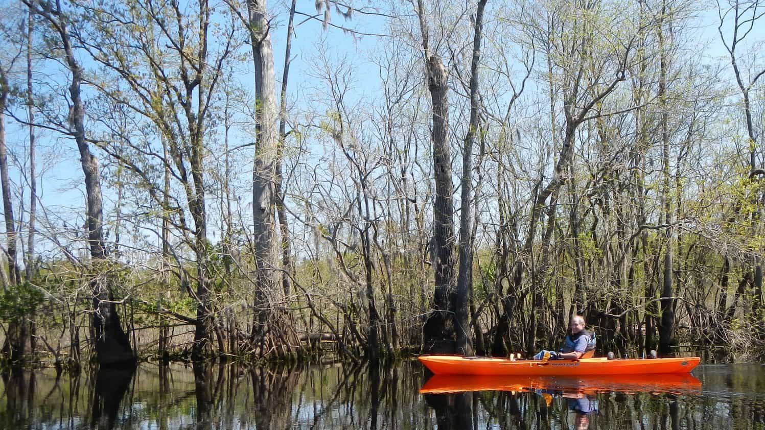 kayak