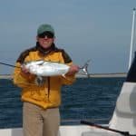 False Albacore at Cape Lookout