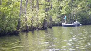 Rice Creek - fishing shoreline