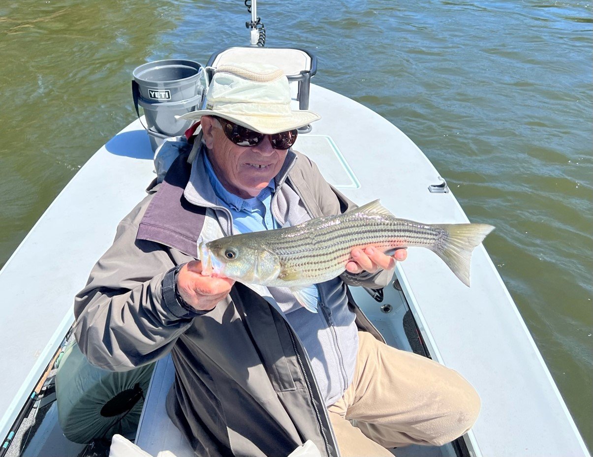 Striper Fishing Weldon Cape Fear Flyfishers