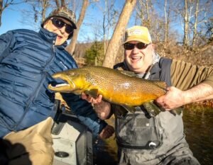 Bryan's Brown Trout