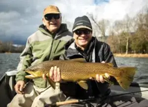 Dave's Brown