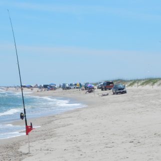 Surf Rod on Beach